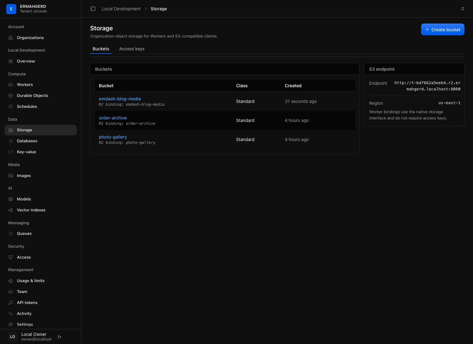 Organization storage browser and its S3 endpoint