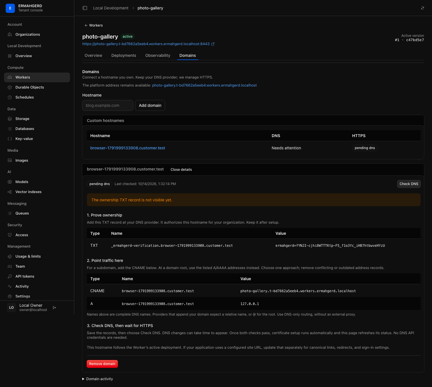 Worker Domains page with ownership and routing records